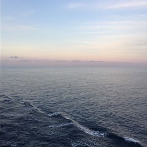 Meet your Posher, Brooklyn